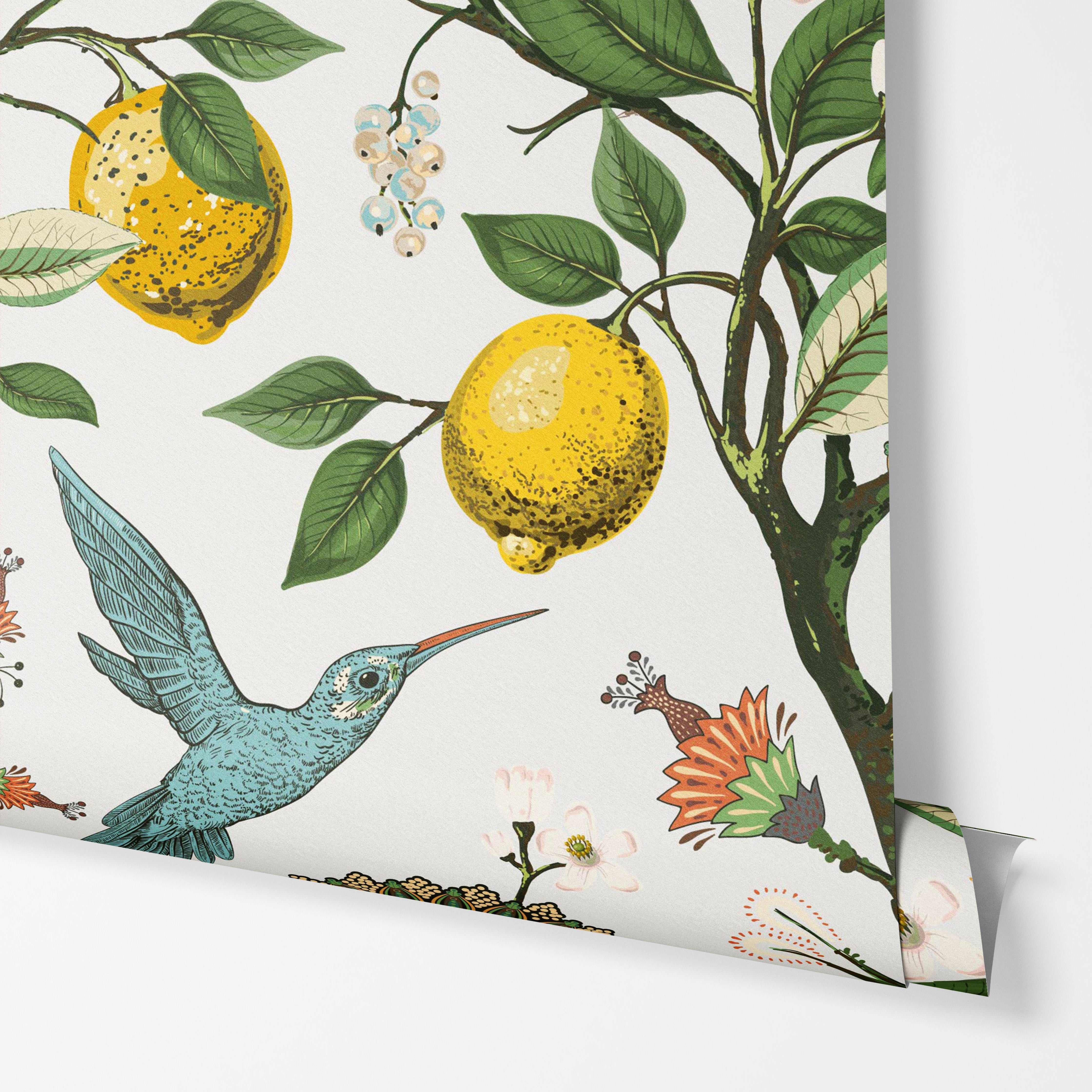 Hummingbird Heaven | Vibrant Citrus Removable Wallpaper for Kitchen, Bedroom, Doors, Walls, DIY Home Decor 1521 - James And Colors