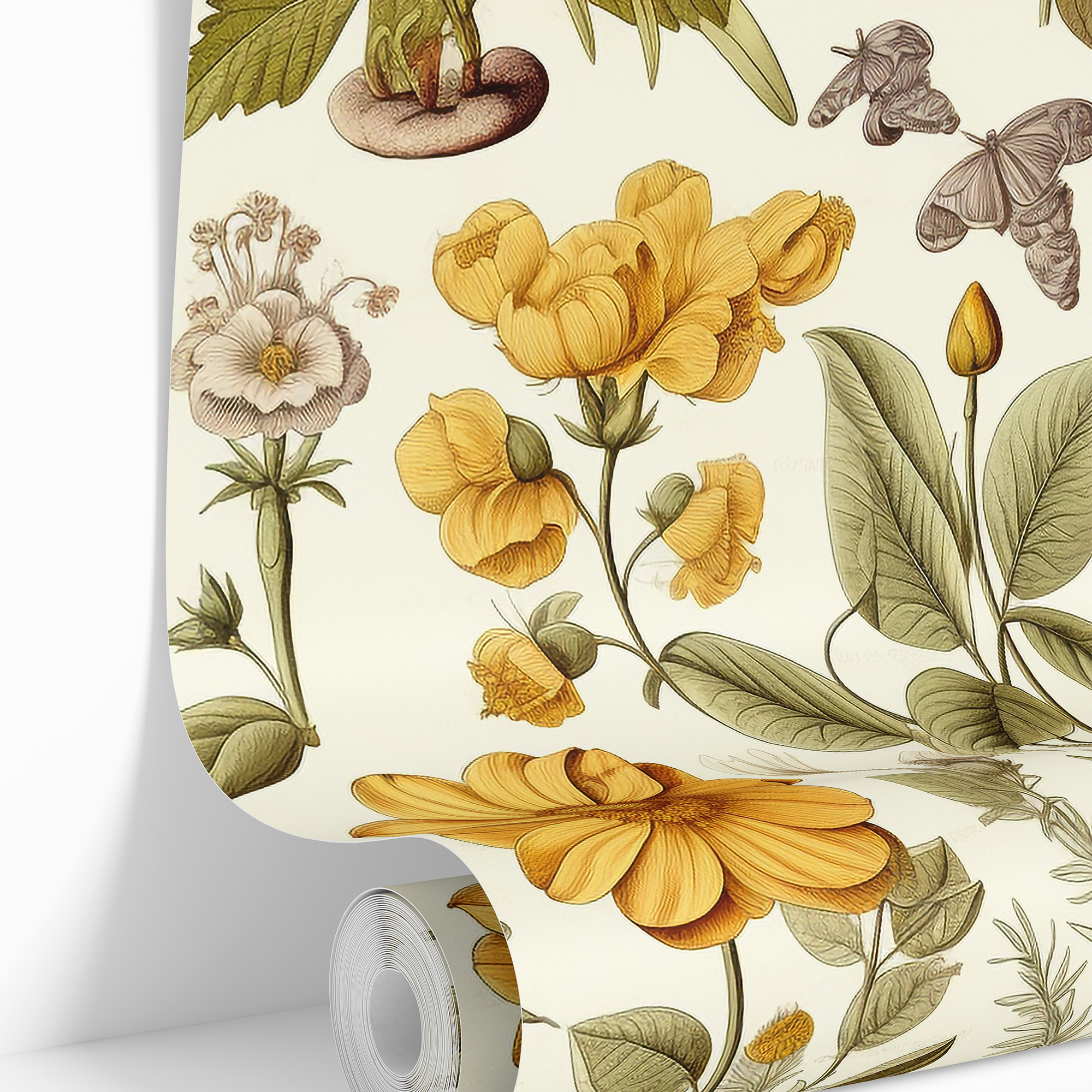 wallpaper roll image with wildflower illustrations 1921