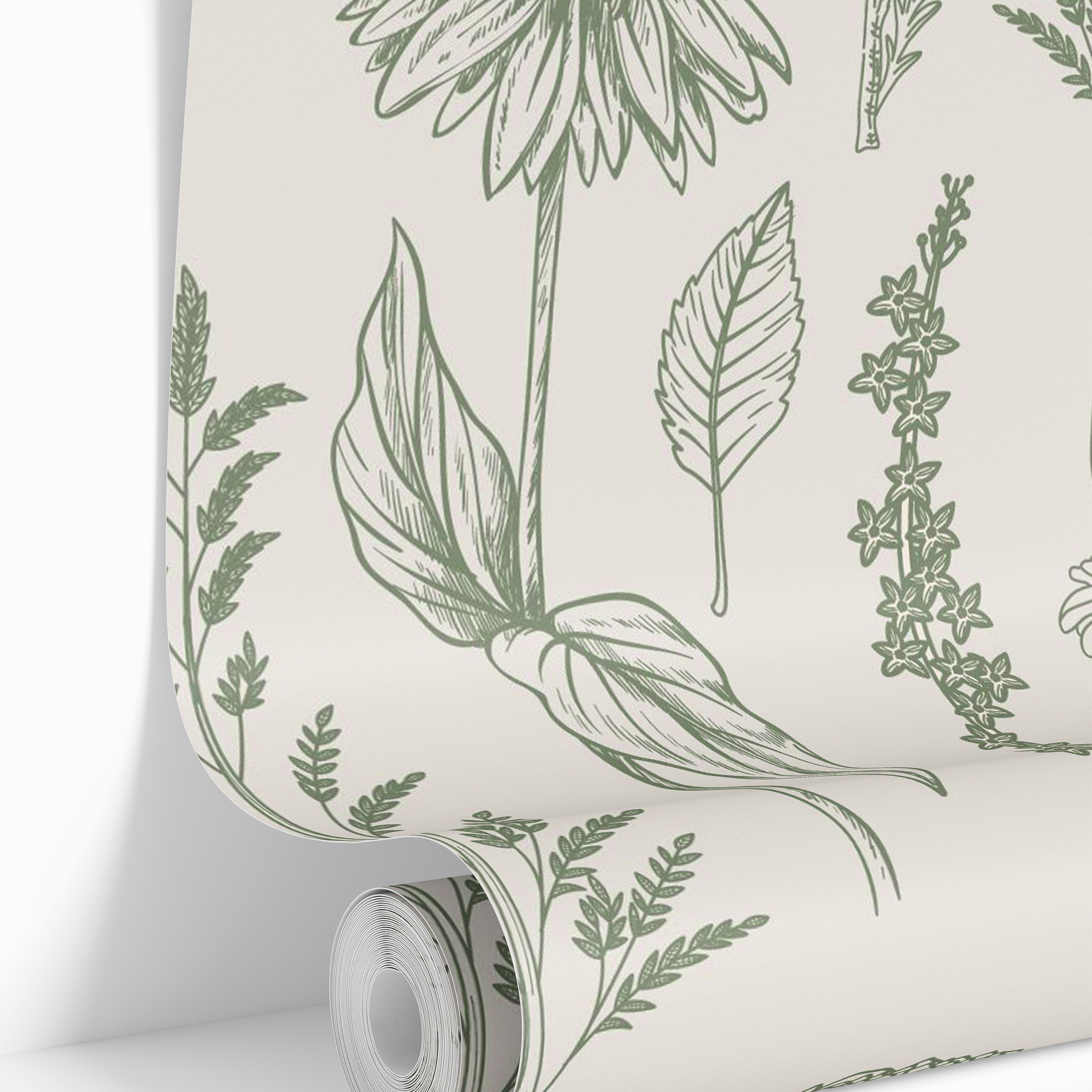 wallpaper roll with sage botanical sketches 583