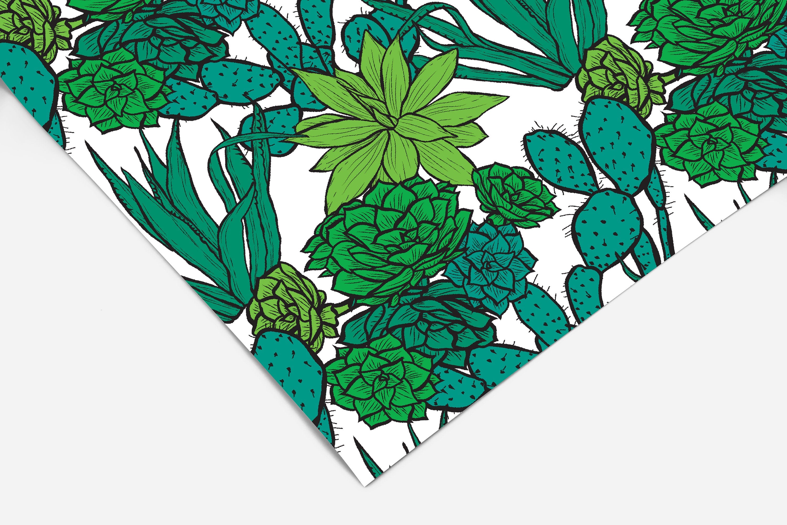 Cactus and Succulent Contact Paper | Peel And Stick Wallpaper | Removable Wallpaper | Shelf Liner | Drawer Liner | Peel and Stick Paper 158 - JamesAndColors