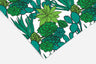 Cactus and Succulent Contact Paper | Peel And Stick Wallpaper | Removable Wallpaper | Shelf Liner | Drawer Liner | Peel and Stick Paper 158 - JamesAndColors