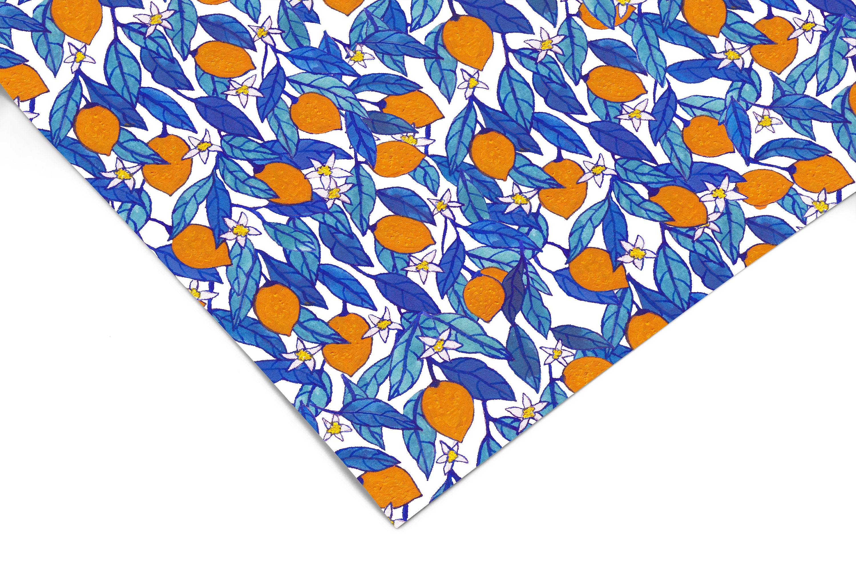 Hand Painted Oranges Contact Paper | Peel And Stick Wallpaper | Removable Wallpaper | Shelf Liner | Drawer Liner | Peel and Stick Paper 460 - JamesAndColors