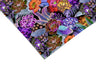 Colorful Tropical Contact Paper | Peel And Stick Wallpaper | Removable Wallpaper | Shelf Liner | Drawer Liner | Peel and Stick Paper 449 - JamesAndColors