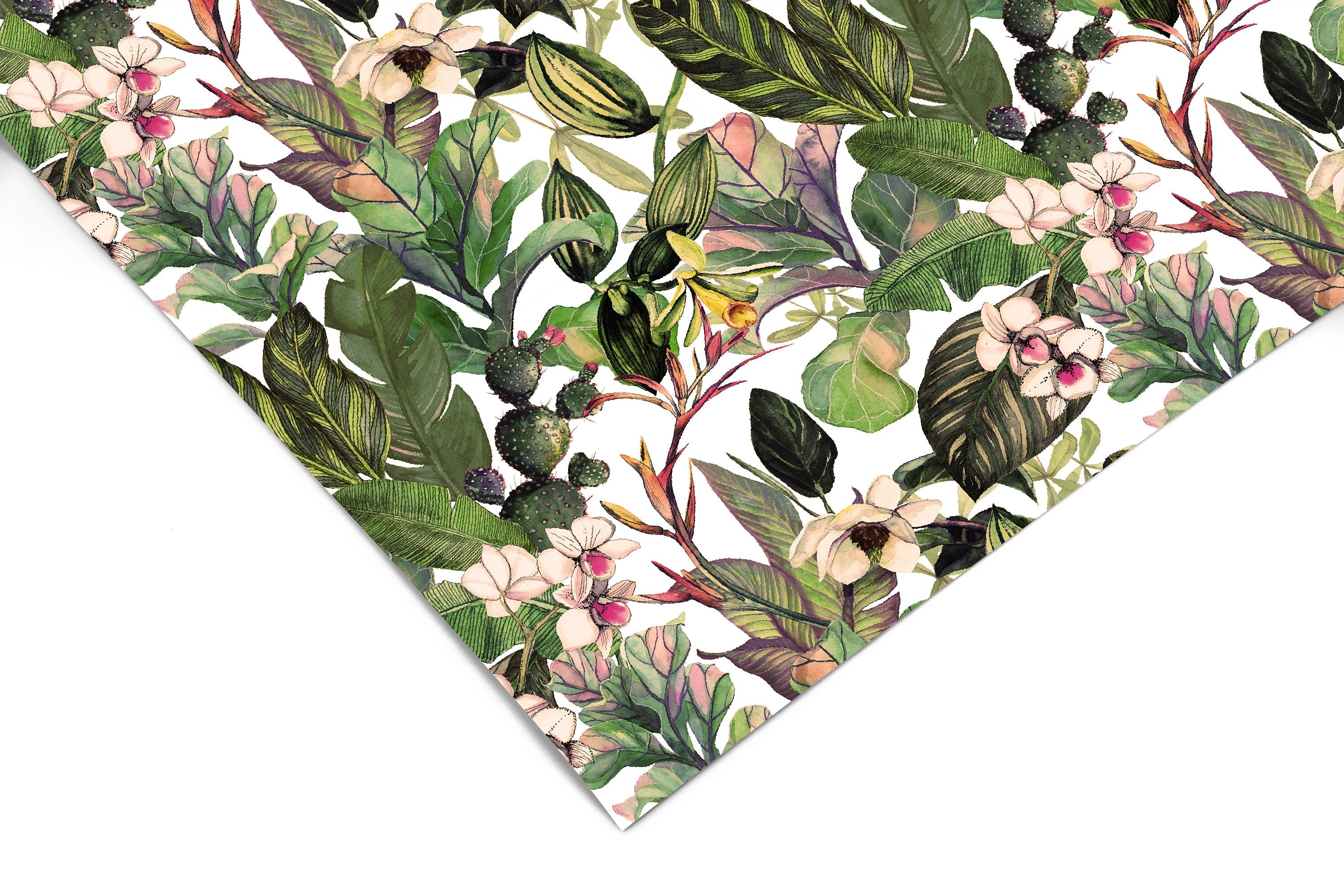 Tropical Cactus Contact Paper | Peel And Stick Wallpaper | Removable Wallpaper | Shelf Liner | Drawer Liner | Peel and Stick Paper 468 - JamesAndColors