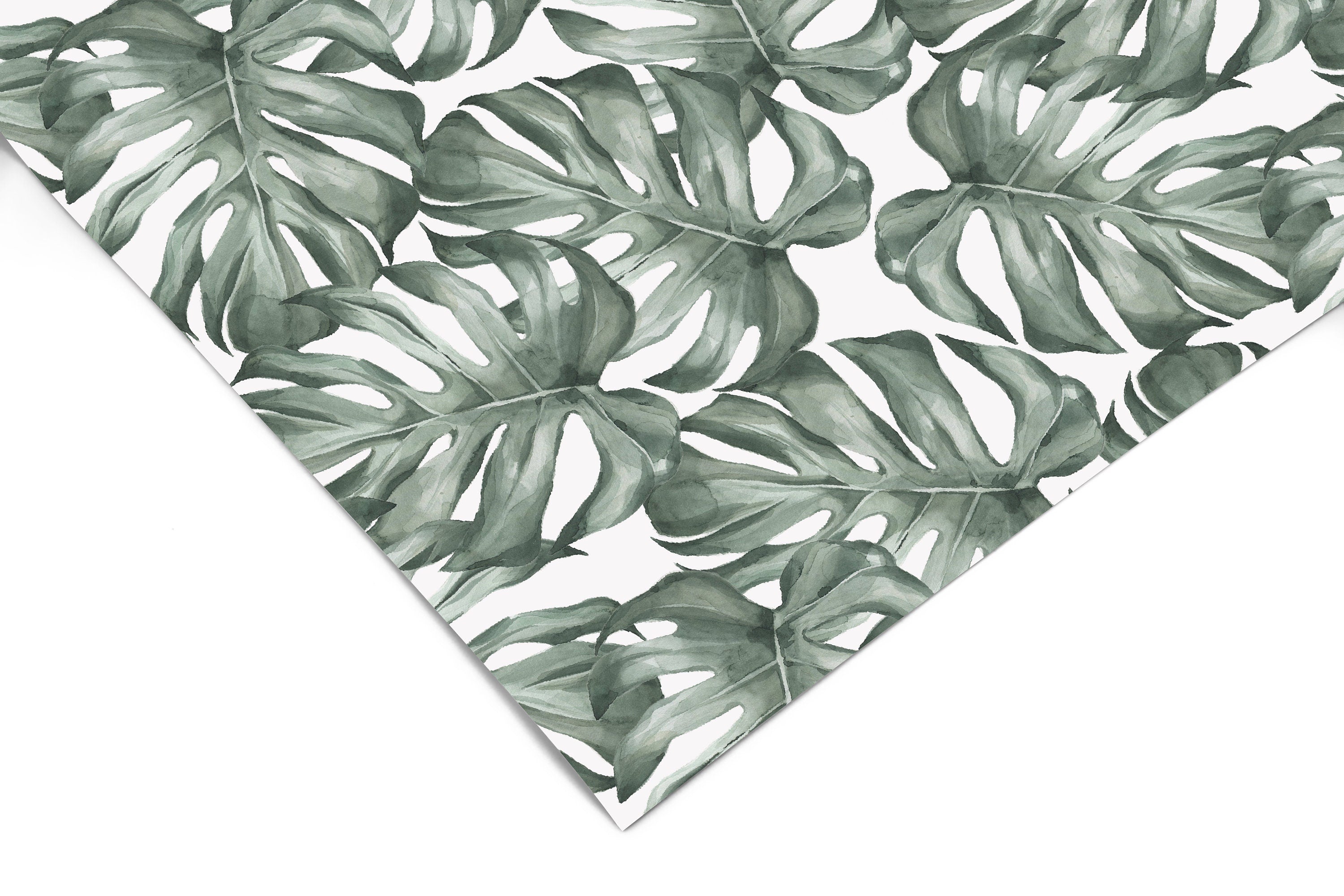 Monstera Oasis Tropic Contact Paper | Peel And Stick Wallpaper | Removable Wallpaper | Shelf Liner | Drawer Liner | Peel and Stick Paper 629 - JamesAndColors