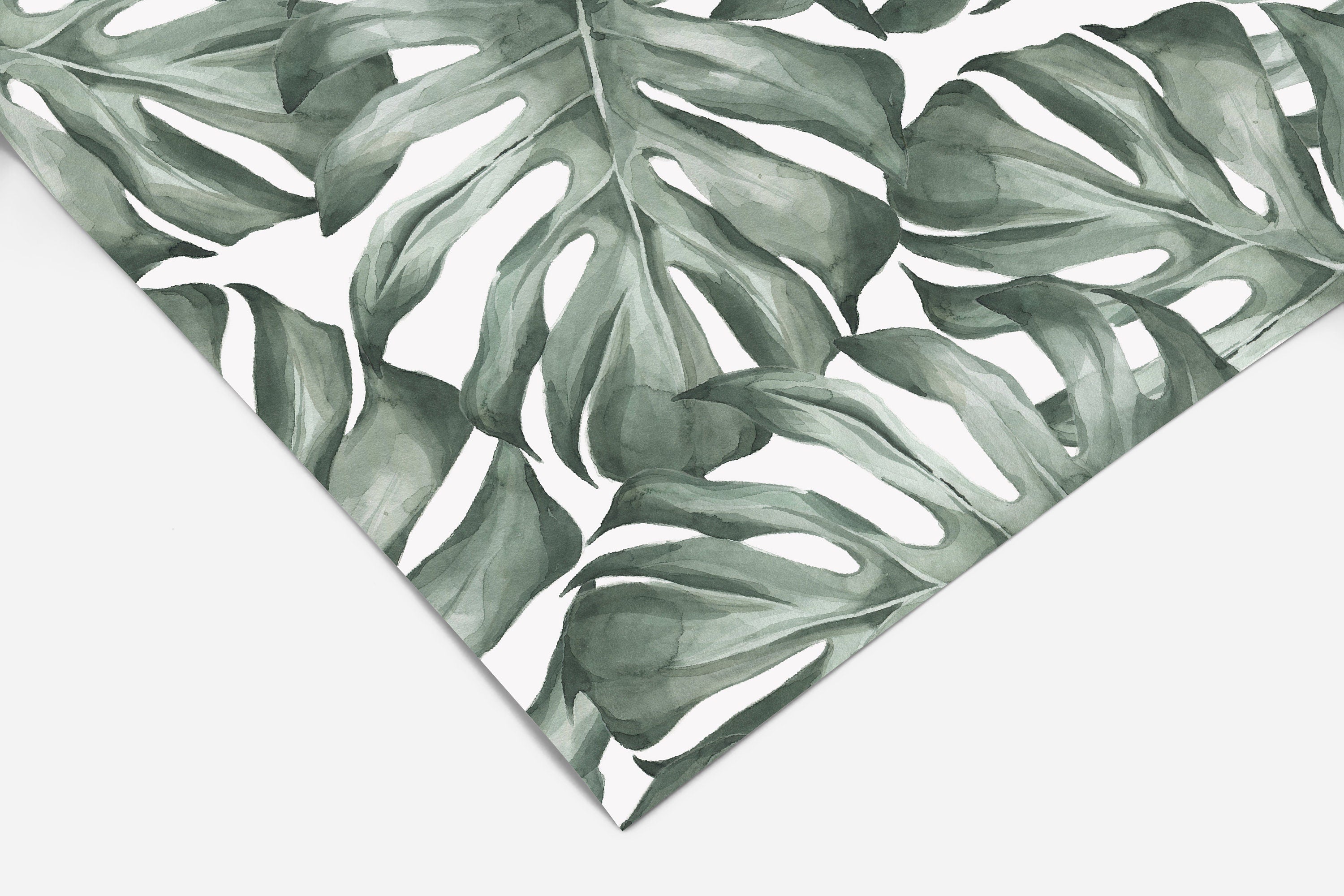 Removable Wallpaper Green Monstera Tropic | Peel And Stick Wallpaper| Wallpaper Mural | Tropical Wallpaper | Wall Decor 3410 - JamesAndColors
