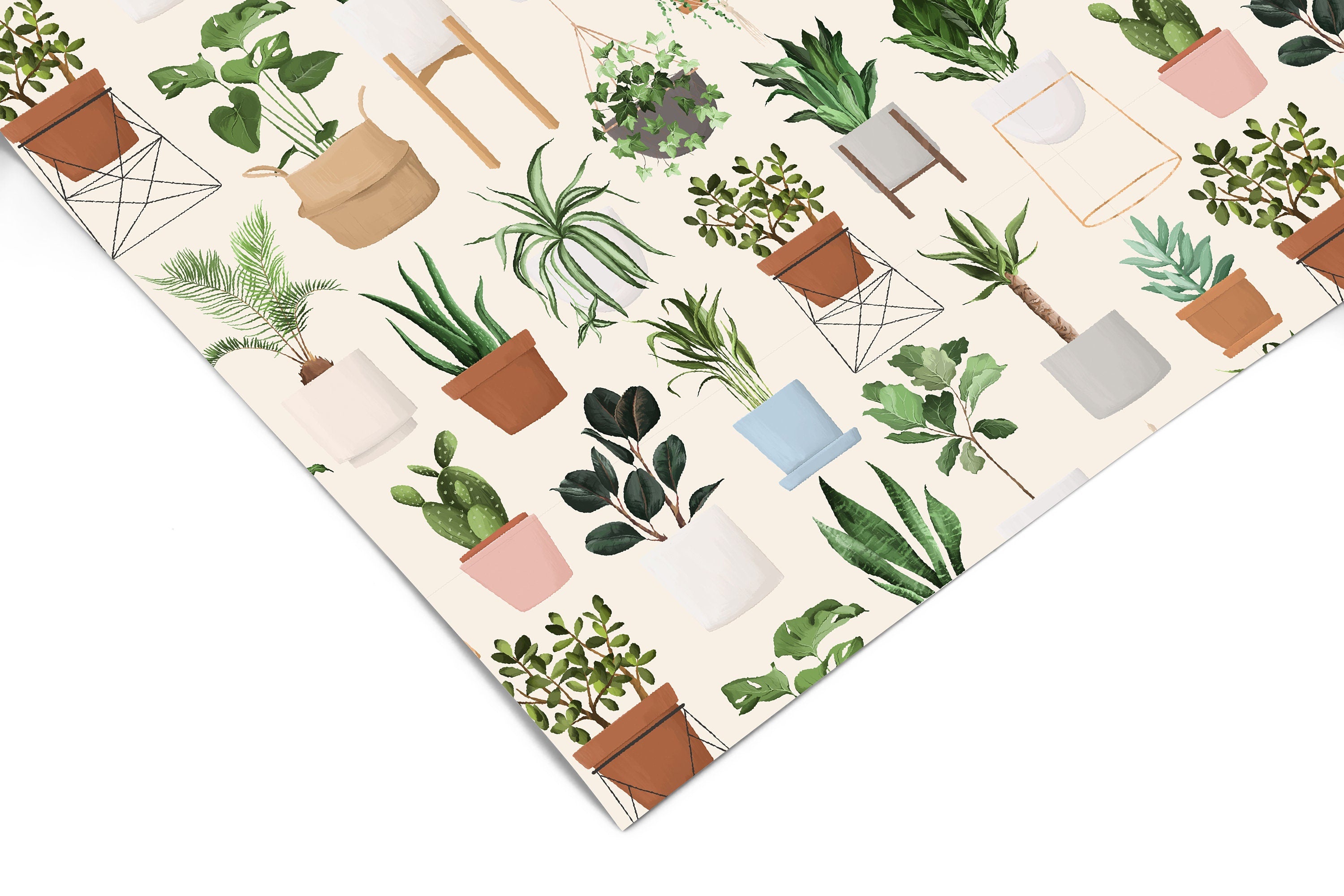 Potted Plants Cream Contact Paper | Peel And Stick Wallpaper | Removable Wallpaper | Shelf Liner | Drawer Liner | Peel and Stick Paper 636 - JamesAndColors