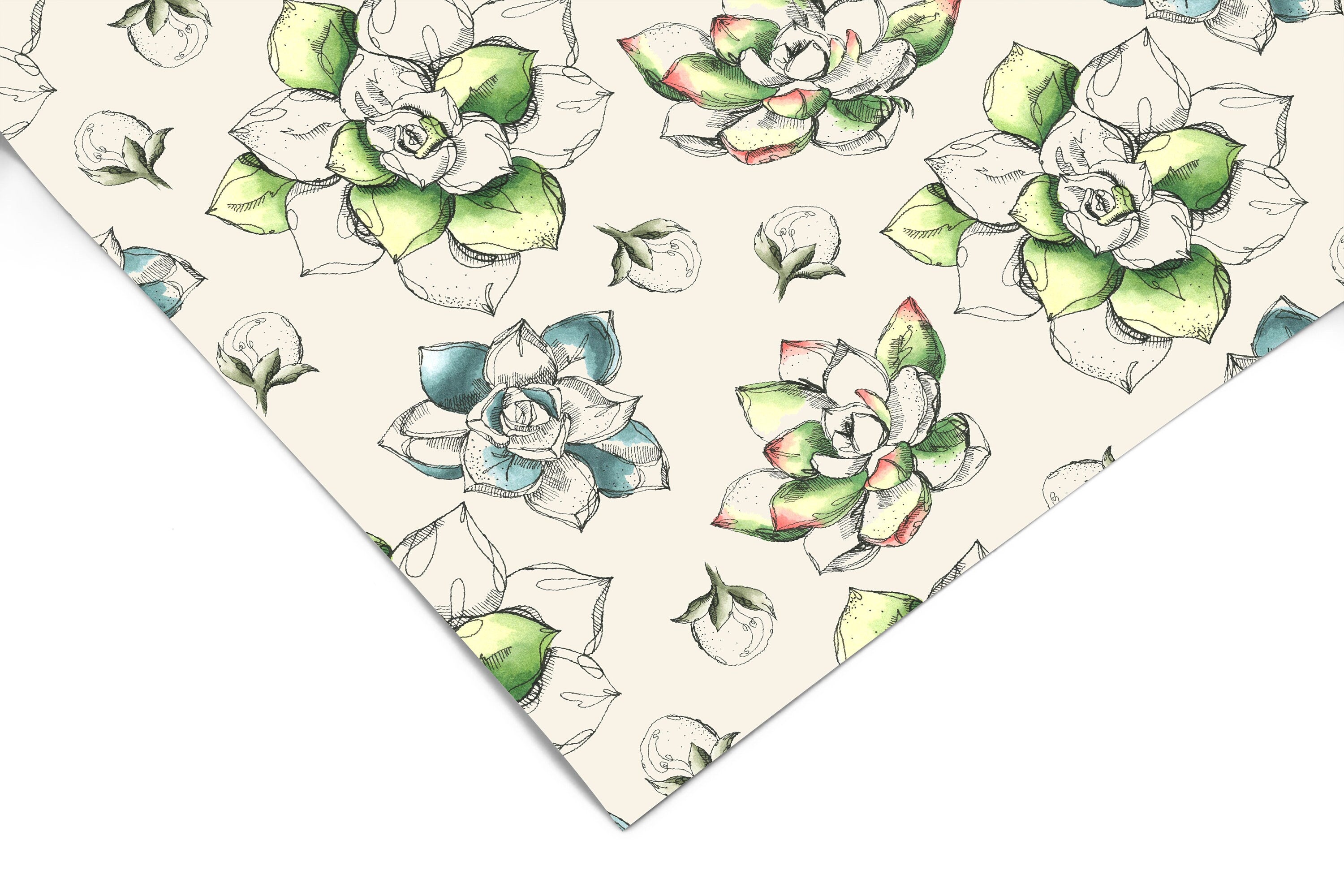 Watercolor Succulents Contact Paper | Peel And Stick Wallpaper | Removable Wallpaper | Shelf Liner | Drawer Liner | Peel and Stick Paper 549 - JamesAndColors