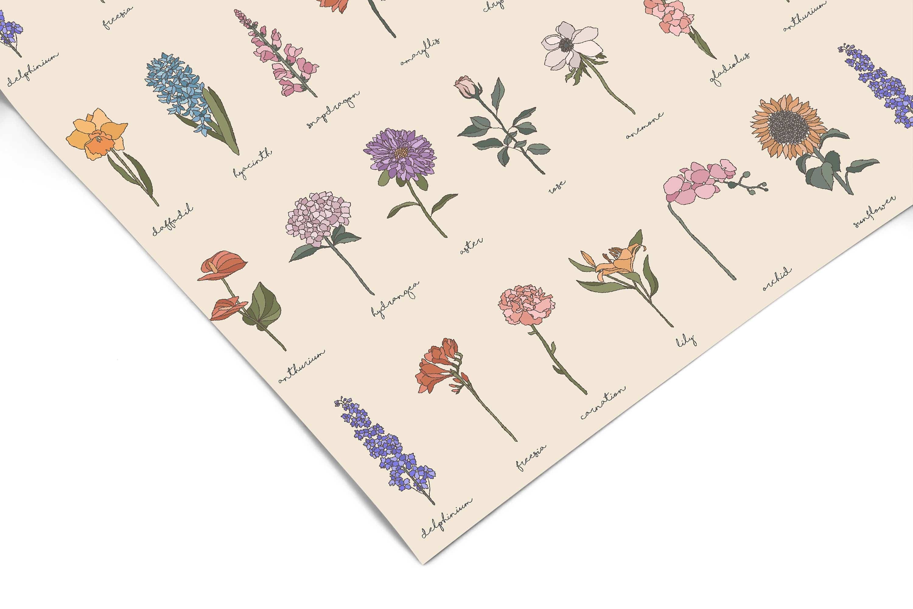 Botanical Plant Lover Contact Paper | Peel And Stick Wallpaper | Removable Wallpaper | Shelf Liner | Drawer Liner | Peel and Stick Paper 645 - JamesAndColors