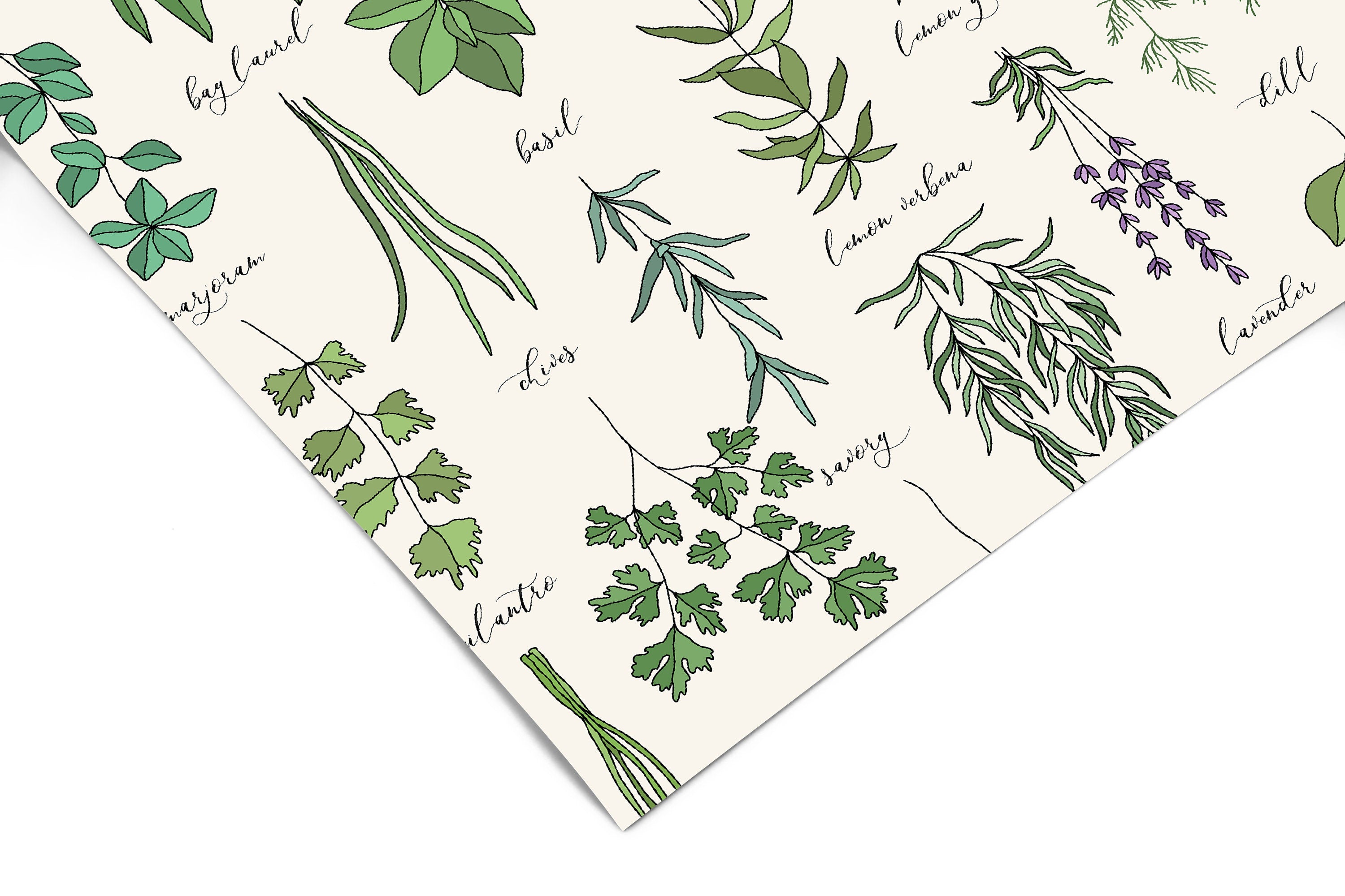 Herbs Floral Contact Paper | Peel And Stick Wallpaper | Removable Wallpaper | Shelf Liner | Drawer Liner | Peel and Stick Paper 866