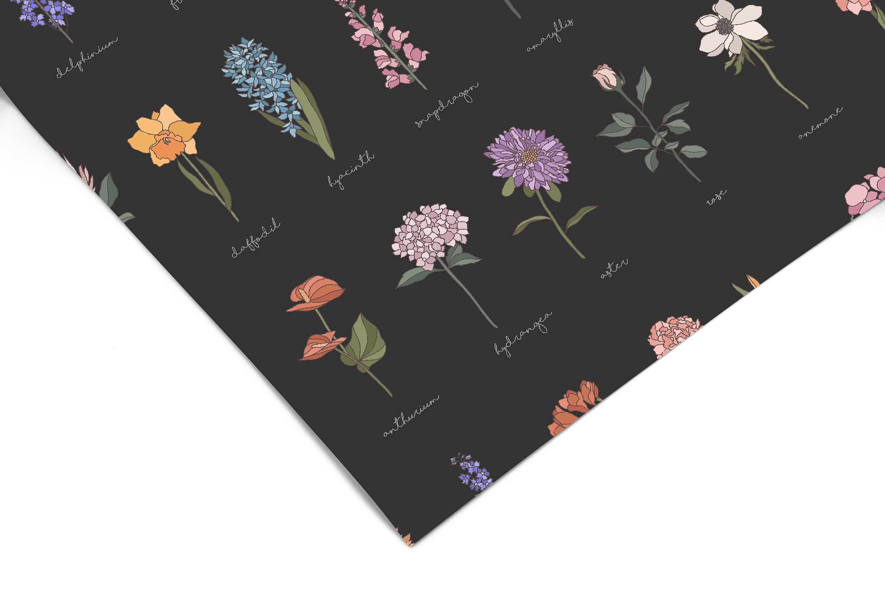 Botanical Plant Black Contact Paper | Peel And Stick Wallpaper | Removable Wallpaper | Shelf Liner | Drawer Liner | Peel and Stick Paper 872 - JamesAndColors