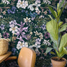 Removable Wallpaper Large Dark Floral Wallpaper | Peel And Stick Wallpaper | Adhesive Wallpaper | Wall Paper Peel Stick Wall Mural 3497 - JamesAndColors