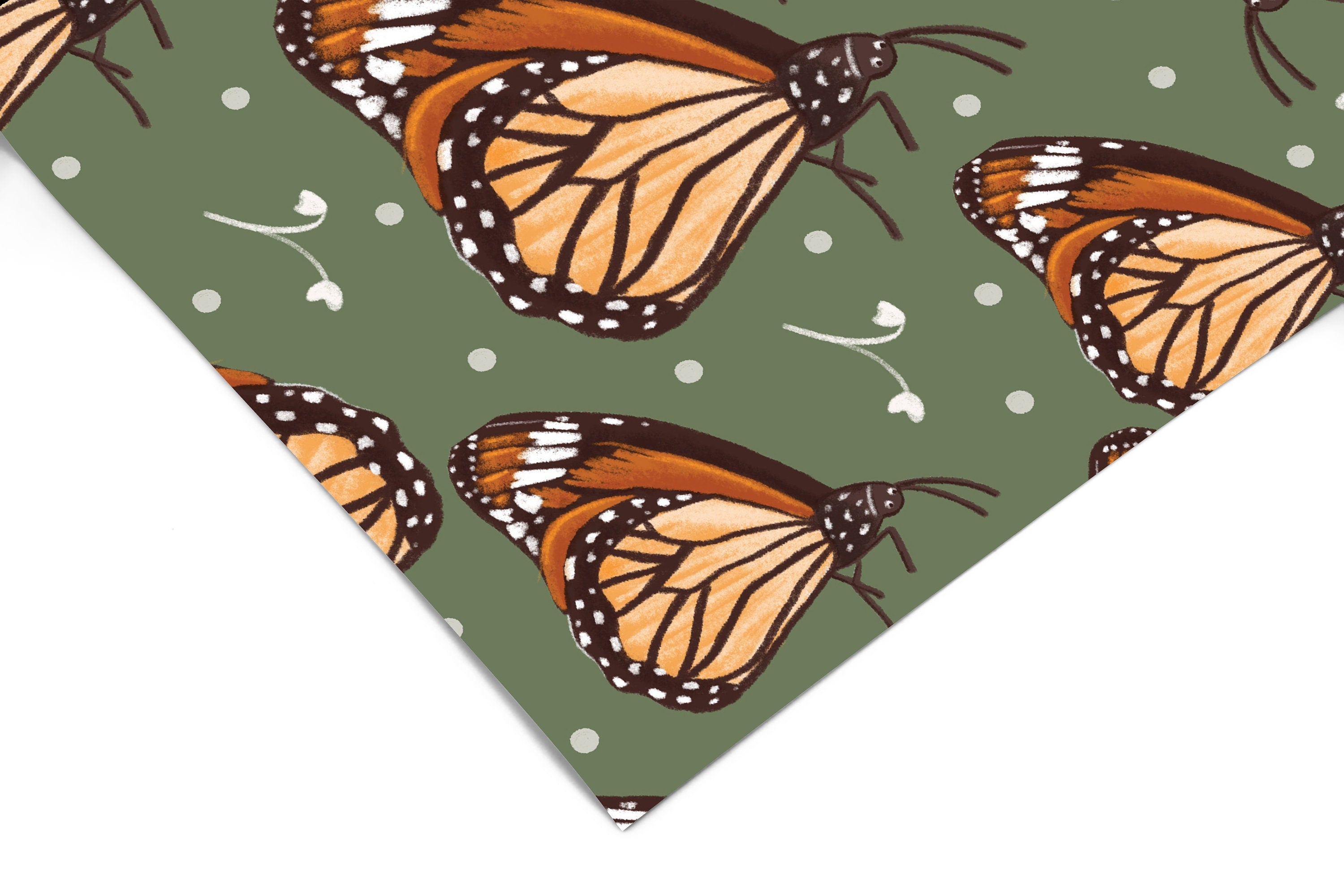 Butterfly Wallpaper | Girls Nursery Wallpaper | Kids Wallpaper | Childrens Wallpaper | Peel Stick Wallpaper | Removable Wallpaper | 3541 - JamesAndColors