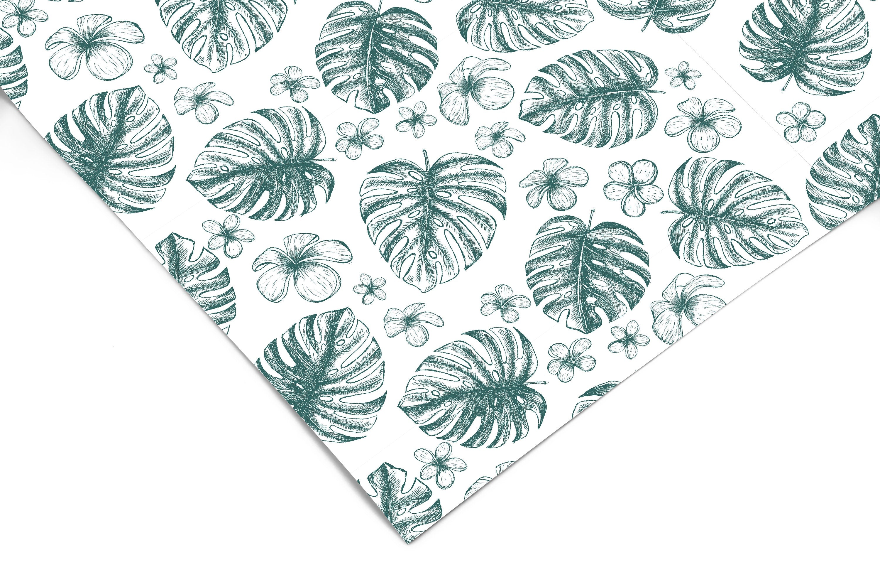 Monstera Plant Contact Paper | Peel And Stick Wallpaper | Removable Wallpaper | Shelf Liner | Drawer Liner Peel and Stick Paper 1245 - JamesAndColors