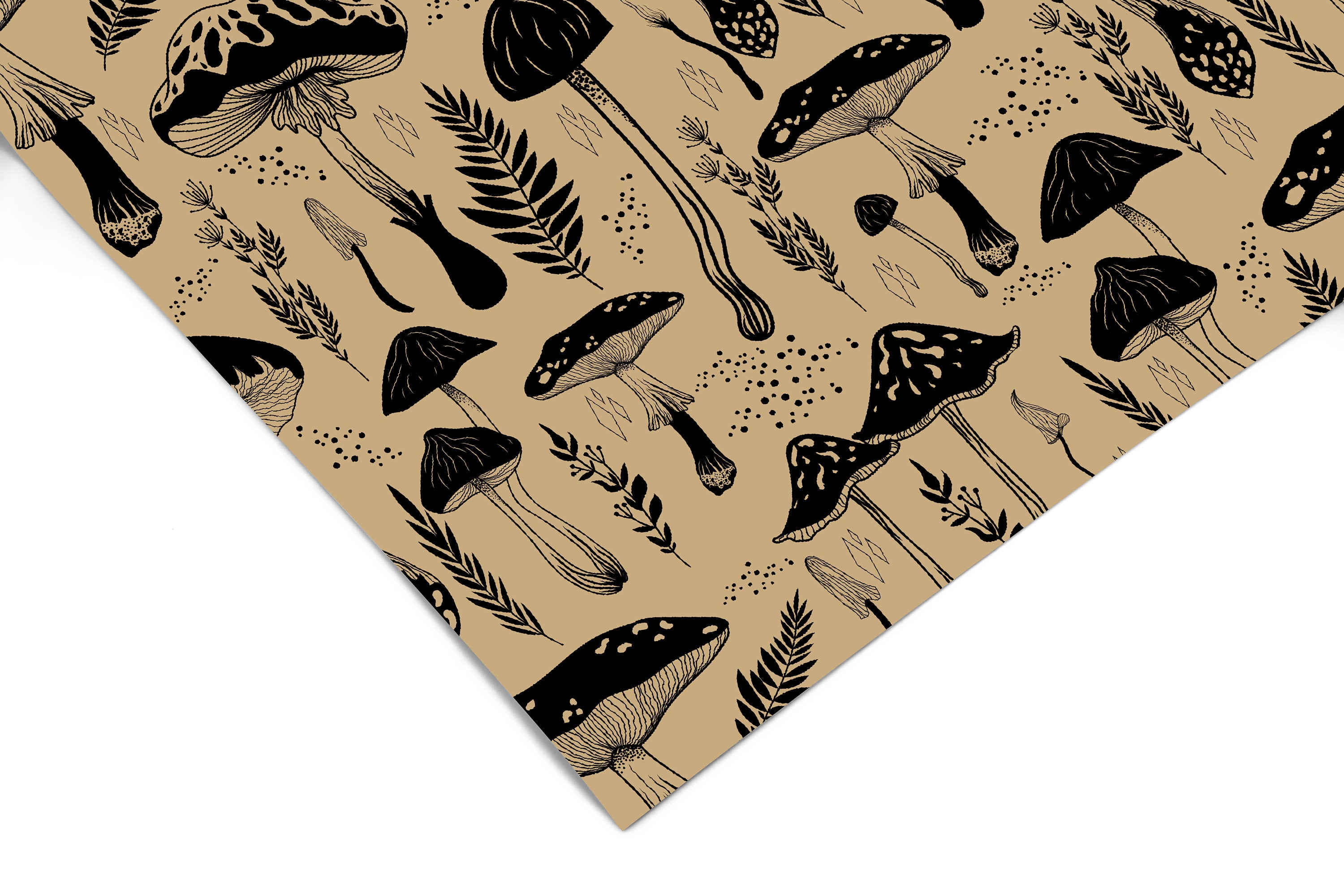 Mushroom Manuscript | Cream Botanical  Removable Contact Paper for Shelves, Cabinets, Walls, DIY Home Decor 1377 - James And Colors