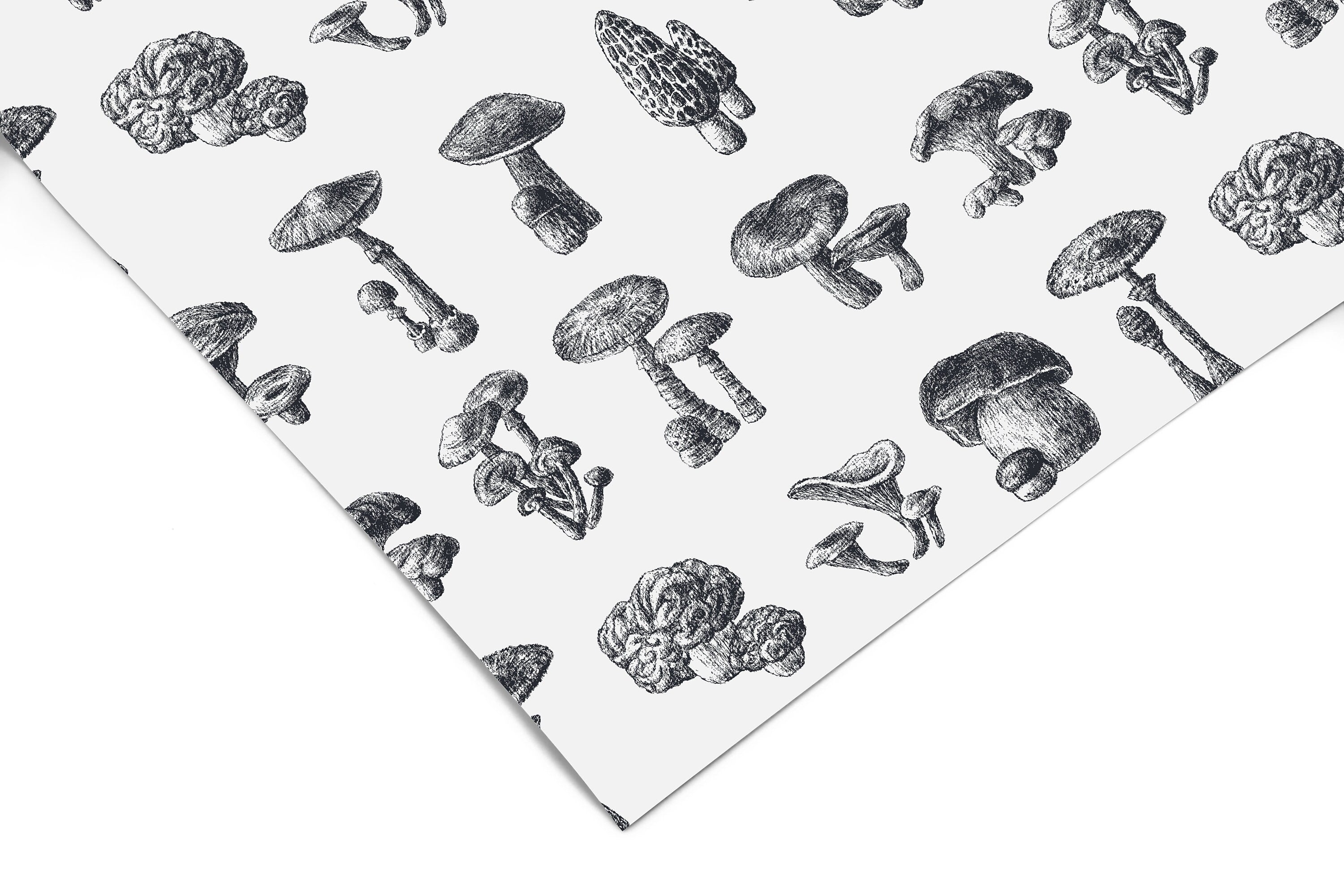 Monochrome Mushrooms | Minimalist Botanical Removable Contact Paper for Shelves, Cabinets, Walls, DIY Home Decor 1391 - James And Colors