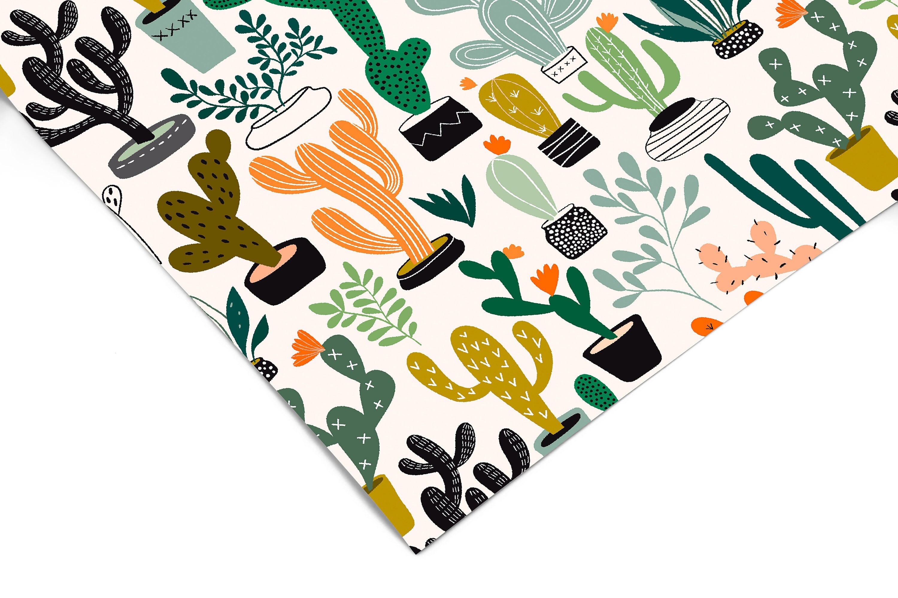Colorful Cactus Contact Paper | Peel And Stick Wallpaper | Removable Wallpaper | Shelf Liner | Drawer Liner | Peel and Stick Paper 1467 - James And Colors