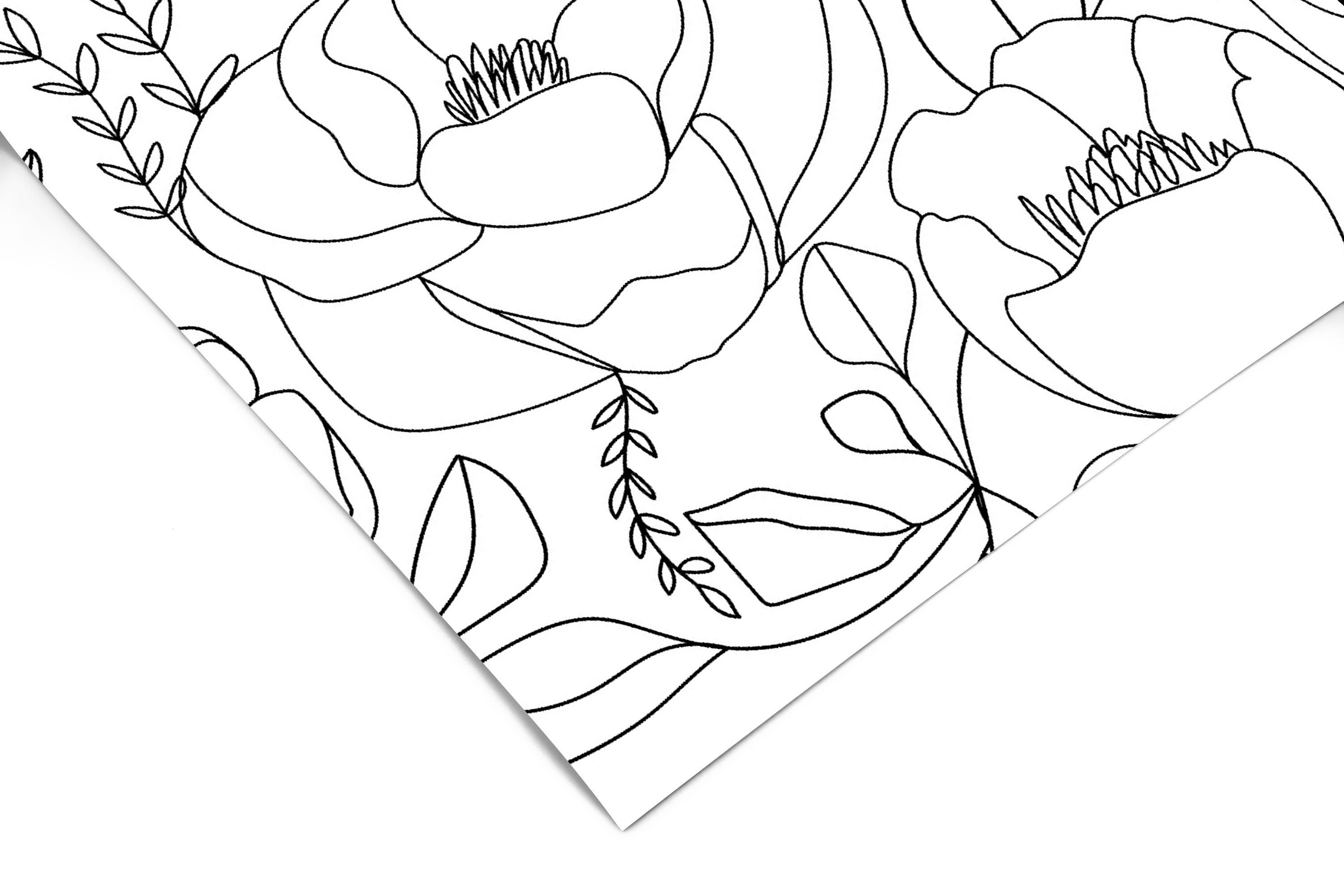 Blackline Blooms | Neutral Floral Removable Wallpaper for Entryway, Bedroom, Doors, Walls, DIY Home Decor 646a - James And Colors
